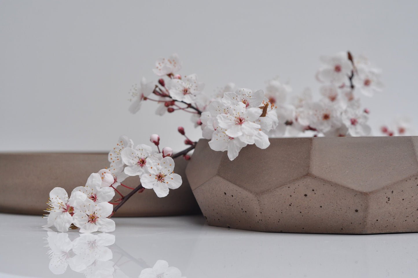 Beautiful concrete fruit bowl 