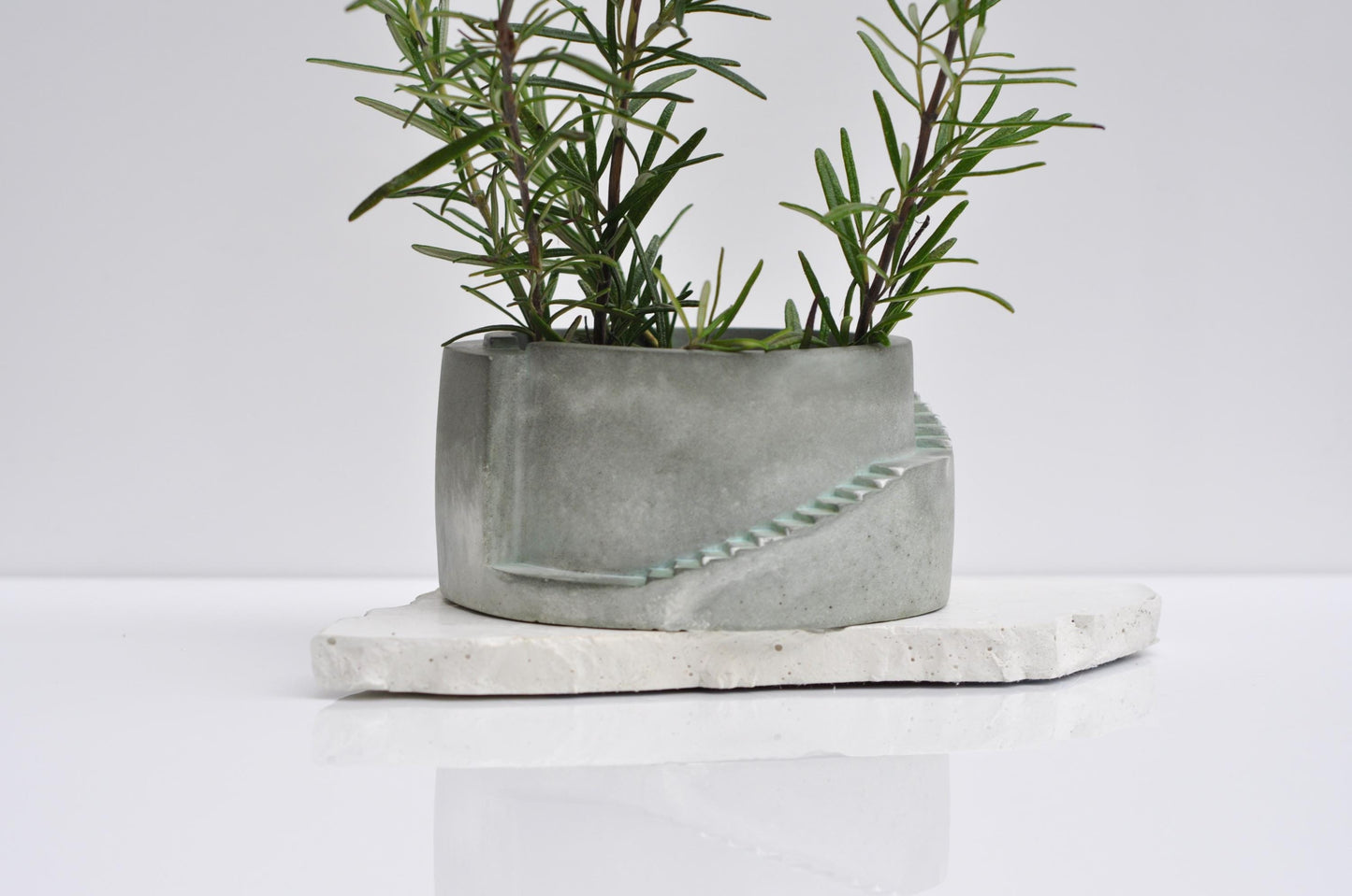 Concrete planter with a plant on a white surface